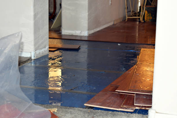 Professional Basement Flood Cleanup technician working in New Hudson, MI